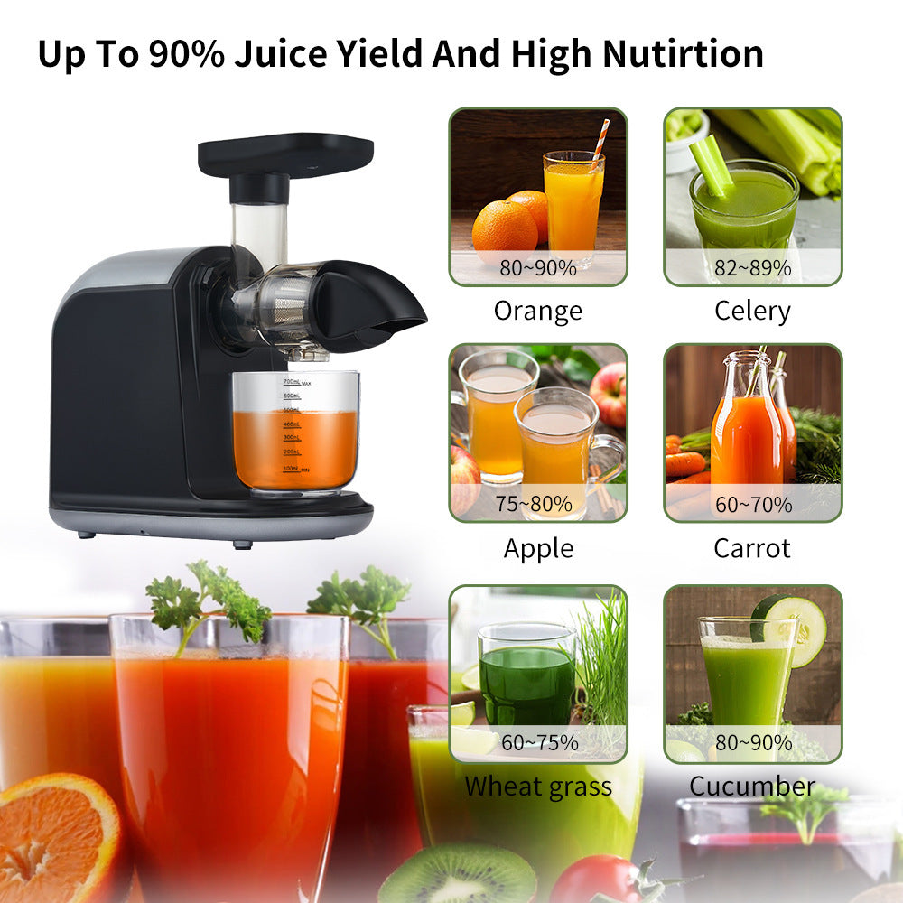 150W Slow Mill Horizontal Raw Juice 80RPM Slow Juice Squeezer