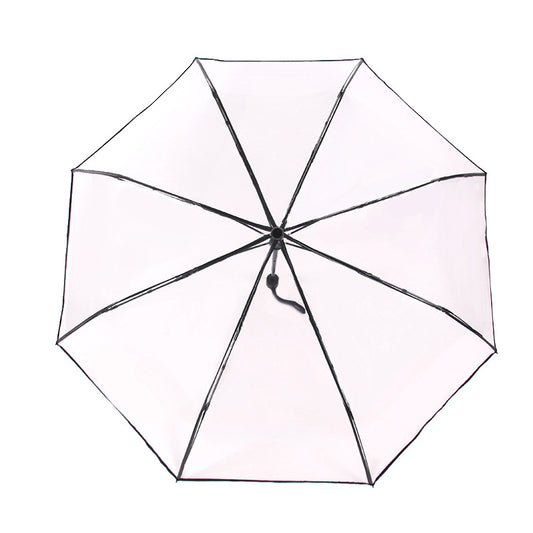 Folding Umbrella Fully Automatic Umbrella Transparent Multi Color