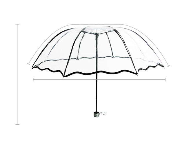 Transparent umbrella print umbrella