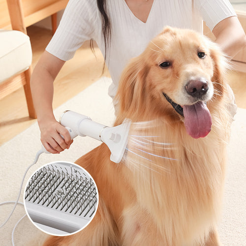 Pet