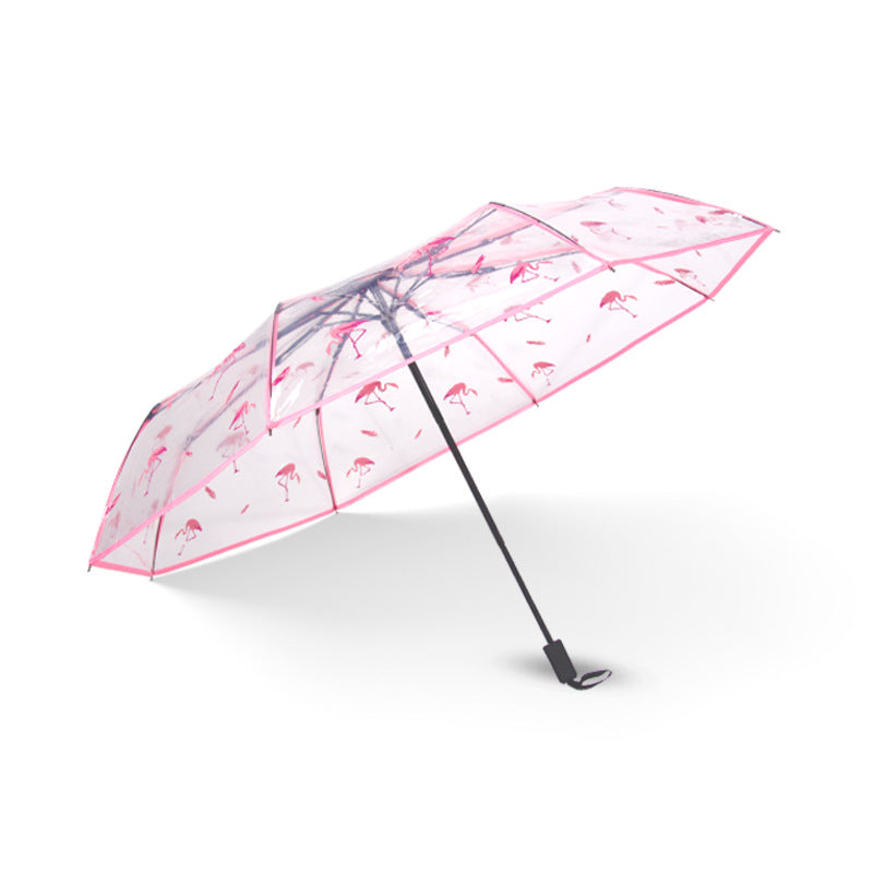 Folding Umbrella Fully Automatic Umbrella Transparent Multi Color