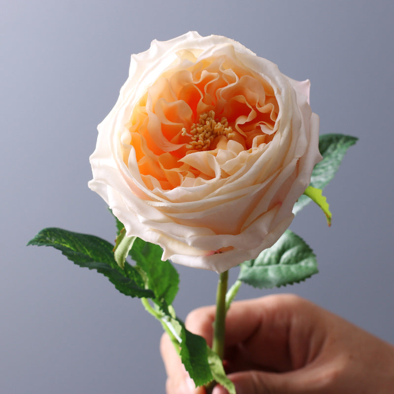 Single Stem Living Room Coffee Table Decoration Simulation Bouquet
