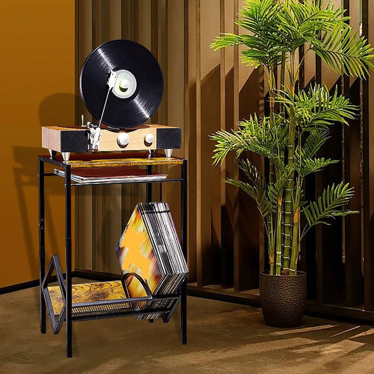 16 Square Foot Standard Sized Music Room And Living Room Recording Rack