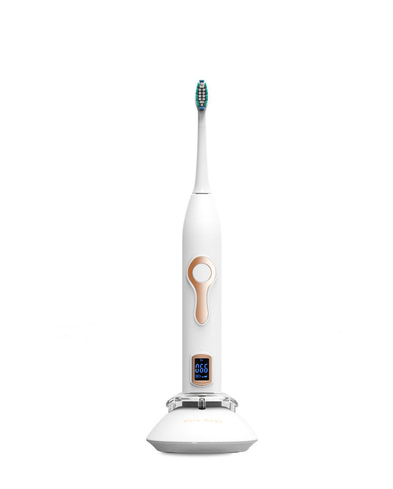 American Sonic Automatic Electric Toothbrush
