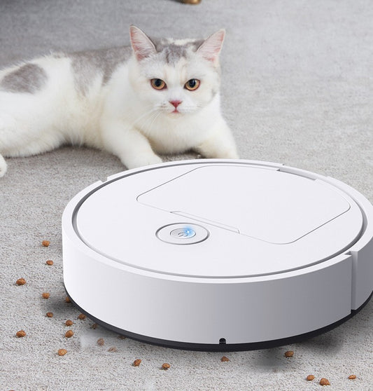 Intelligent Sweeping And Mopping Robot