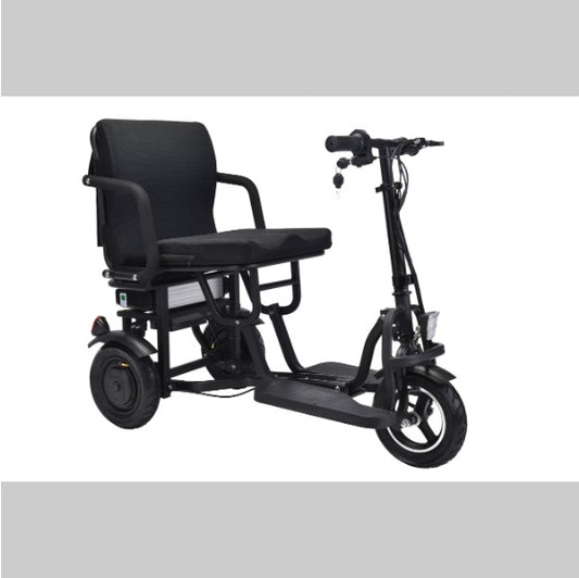 Folding Electric Scooter