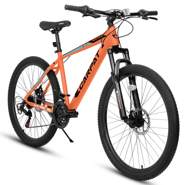 21-speed mountain bike