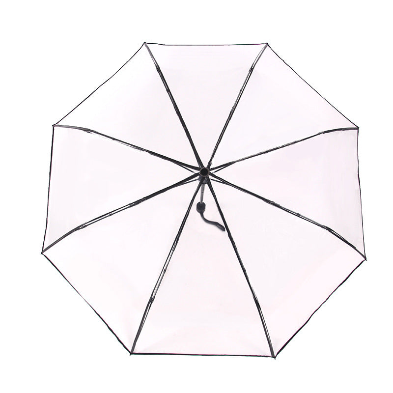 Folding Umbrella Fully Automatic Umbrella Transparent Multi Color
