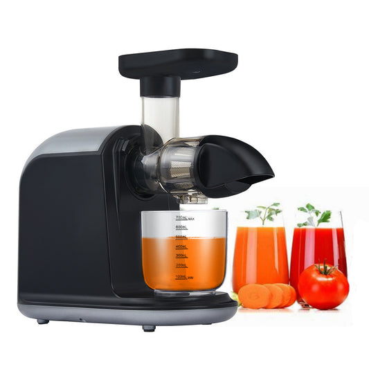 150W Slow Mill Horizontal Raw Juice 80RPM Slow Juice Squeezer
